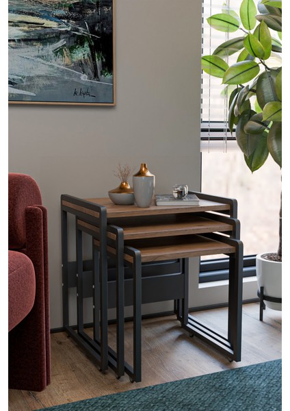 Lavisa 3'lü Zigon Sehpa (Tekerli) fırsatları