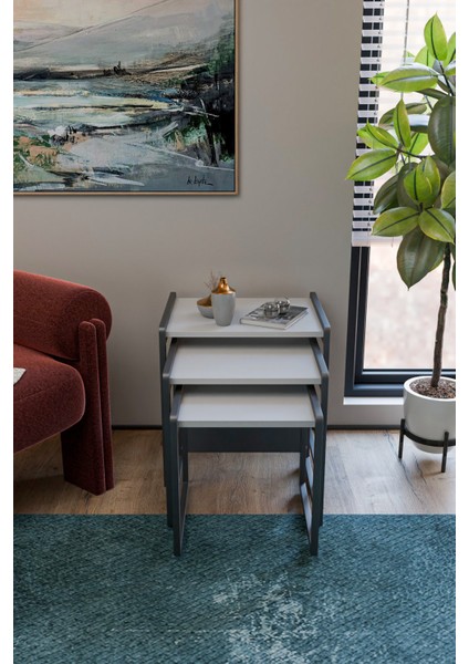 Lavisa 3'lü Zigon Sehpa (Tekerli) fiyatları