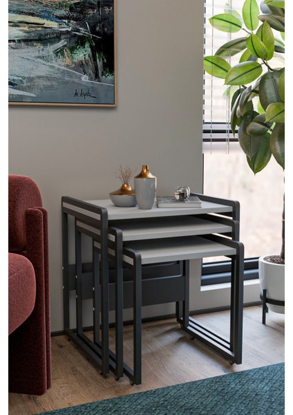 Lavisa 3'lü Zigon Sehpa (Tekerli) fırsatları