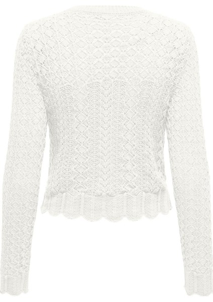 Onlsaga Lıfe Ls O-Neck cc Knt