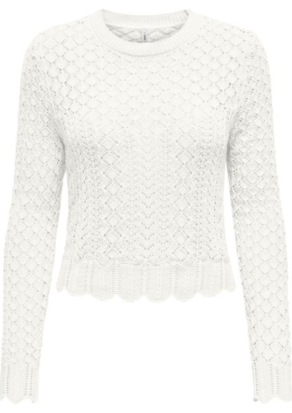 Onlsaga Lıfe Ls O-Neck cc Knt