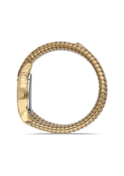 SS260G-08SG Momentus Women's Shinystar Kol Saati fiyatları