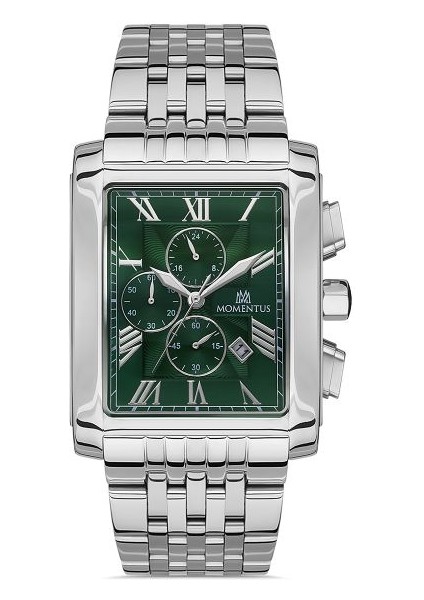 TM111S-15SS Momentus Men's Time Masters Kol Saati