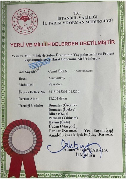 Naturel Dere Otu ( Hidroponik) fırsatları