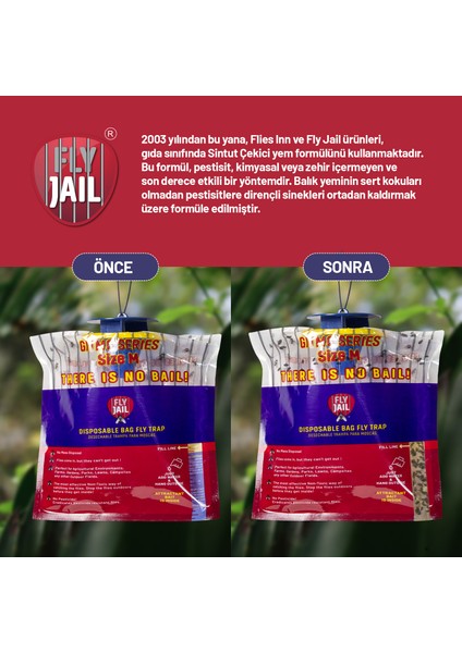 3 Adet Fly Jail - M Karasinek Tuzağı