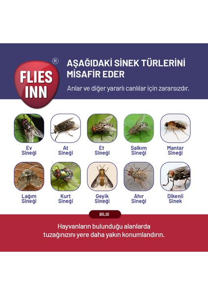 6'lı Hg Karasinek Tuzağı + 60 Adet 25GR Yem