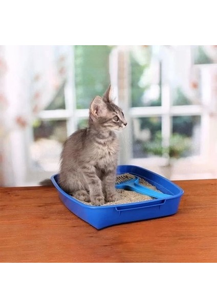 Proline Bebek Pudralı Topaklanan Bentonit Kedi Kumu Ince 10 Lt