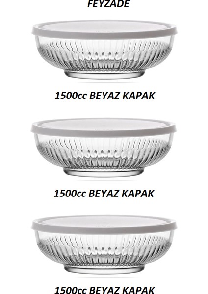 Beyaz Kapak Üc Adet 1500 Cc Tokyo Saklama Kabı fiyatları