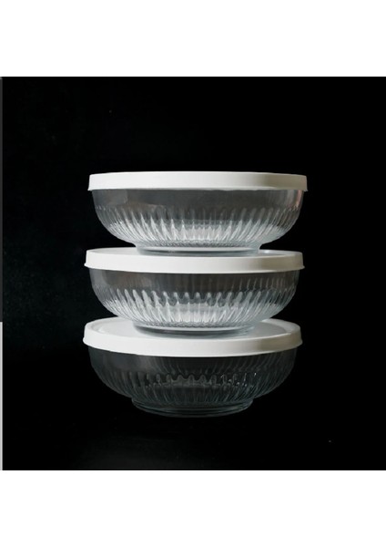 Beyaz Kapak Üc Adet 1500 Cc Tokyo Saklama Kabı fırsatları