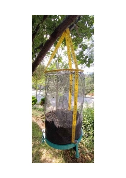 3 Adet Flies Inn Hg | Karasinek Tuzağı