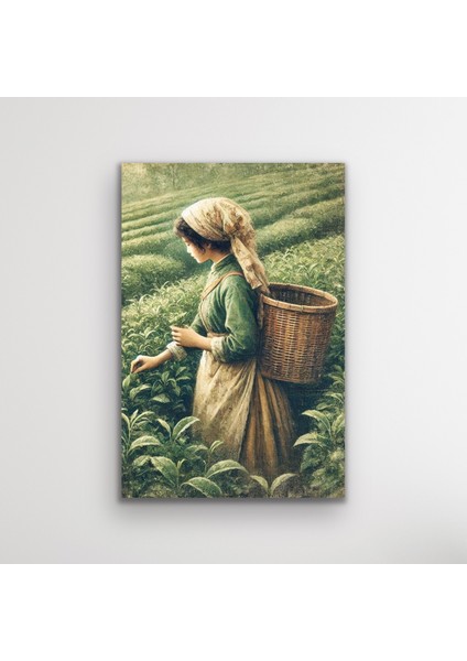 Çay Toplayan Kadın Kanvas Tablo 20 x 30 cm