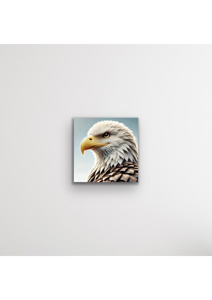 Kartal Kanvas Tablo 60 x 60 cm