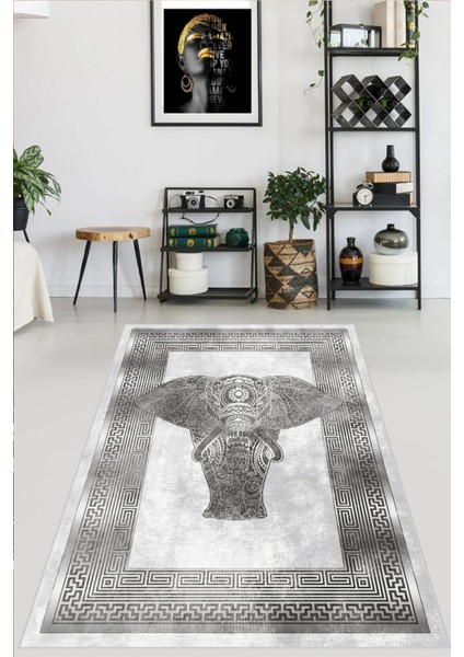 Yıkanabilir, Baskılı, Kaymaz Taban Salon, Mutfak, Yatak Odası Halı ve Yolluk RVGHM0020
