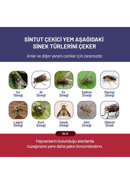Medium, Karasinek Tuzağı