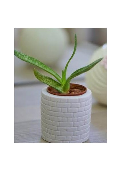 Tuğla Desenli Saksı Silikon Kalıp