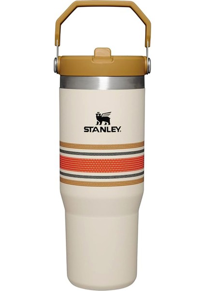 Iceflow 30 Oz Paslanmaz Çelik Pipetli Bardak, Vakumlu Yalıtımlı Su Şişesi, Pipetli Bardak Sızdırmaz Kapaklı