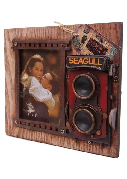 Dekoratif Metal Çerçeve Fotoğraf Makinesi Dekorlu modelleri