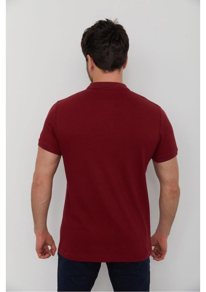 4613 Polo Pike T-Shirt modelleri