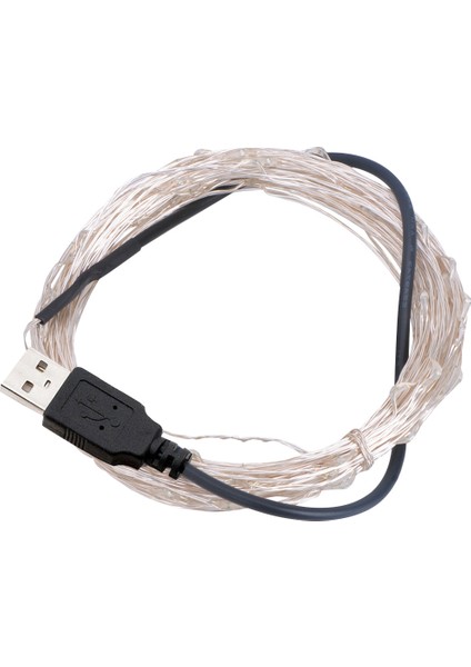 10M 5V 6W 500LM LED Gümüş Tel Işık Stil1 (Yurt Dışından)