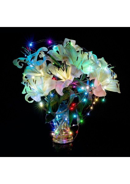10M 5V 6W 500LM LED Gümüş Tel Işık Stil1 (Yurt Dışından)