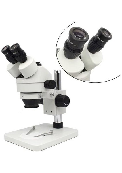 WF10X/20 WF10X/23 Geniş Açı Mikroskop