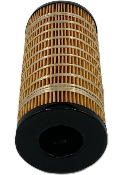 273440280 Mst Yakıt Filtresi