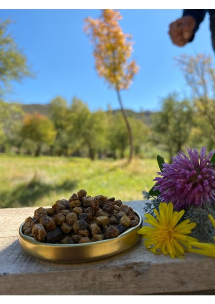 Arı Ekmeği fiyatları