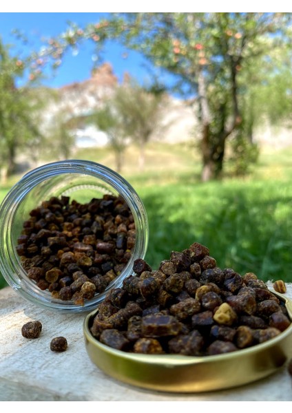 Arı Ekmeği modelleri