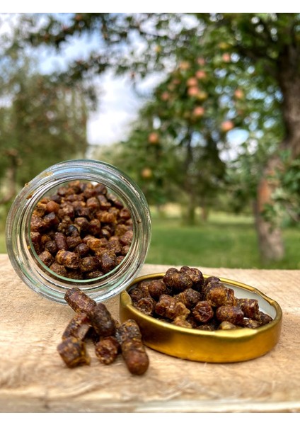 Arı Ekmeği fırsatları