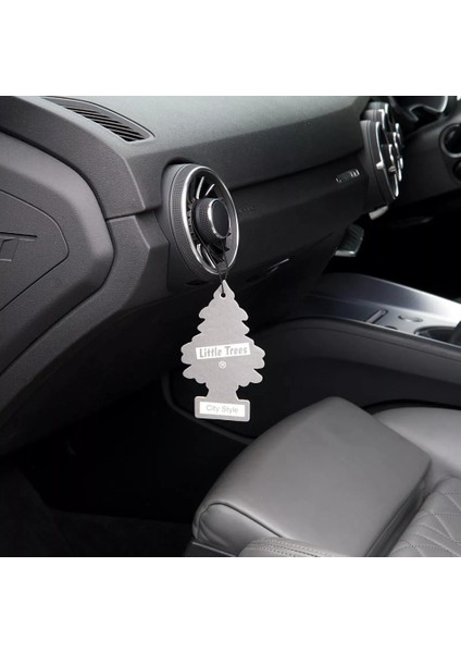 Asma Koku 12'li Şehir Tarzı modelleri