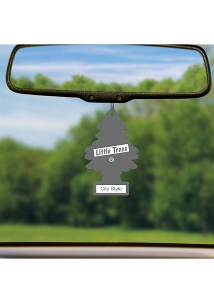 Asma Koku 12'li Şehir Tarzı fırsatları