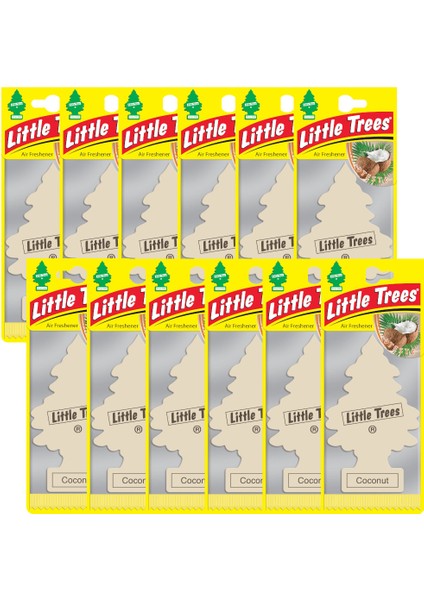 Asma Koku 12'li Hindistan Cevizi