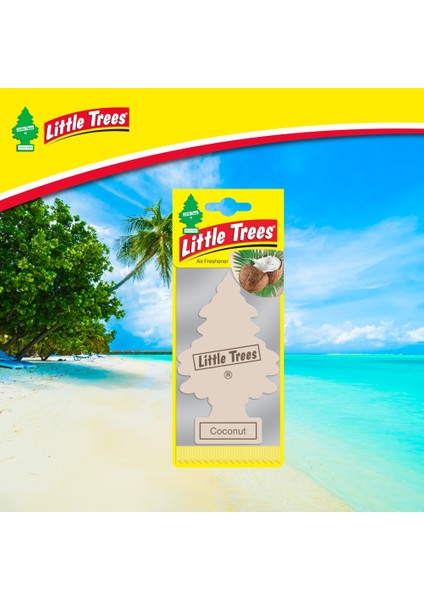 Asma Koku 12'li Hindistan Cevizi fırsatları