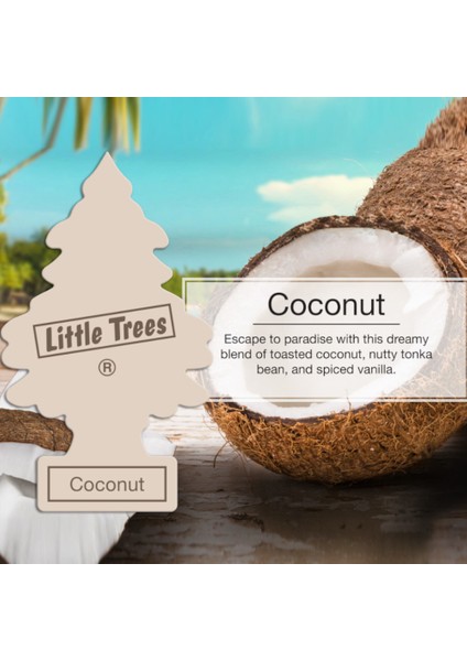 Asma Koku 12'li Hindistan Cevizi indirimleri