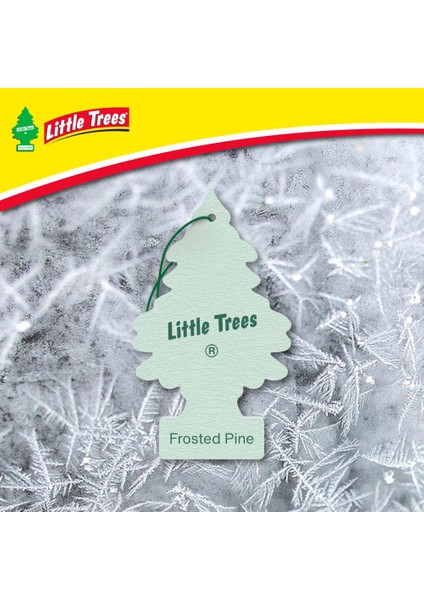 Asma Koku 12'li Buzlu Çam modelleri