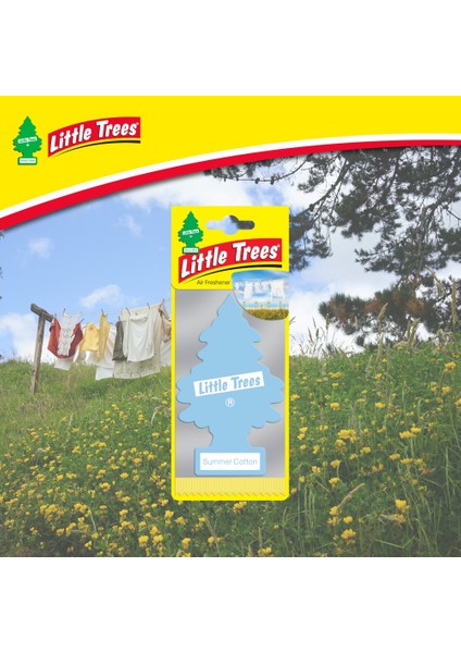 Asma Koku 6'lı Yaz Esintisi modelleri