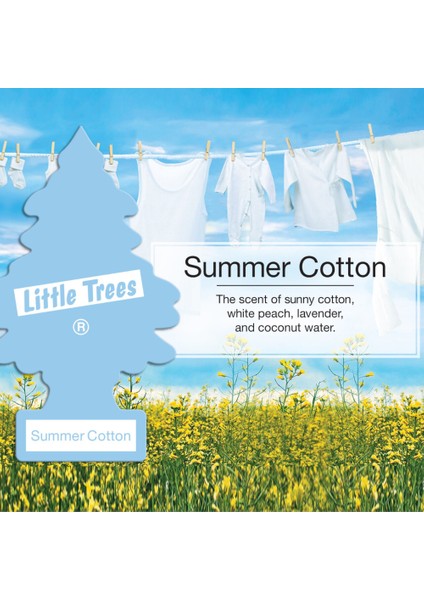 Asma Koku 6'lı Yaz Esintisi fırsatları