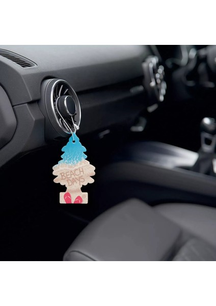 Asma Koku 6'lı Plaj Günleri modelleri