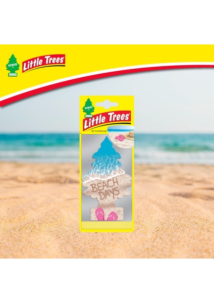 Asma Koku 6'lı Plaj Günleri fırsatları