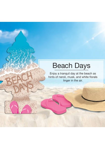 Asma Koku 6'lı Plaj Günleri indirimleri