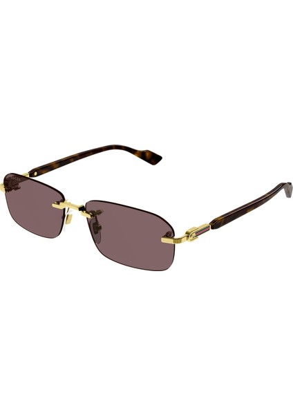 Guccı 1221S 002 Güneş Gözlüğü
