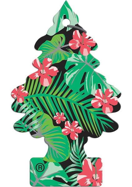 Asma Koku 6'lı Orman Ateşi fiyatları