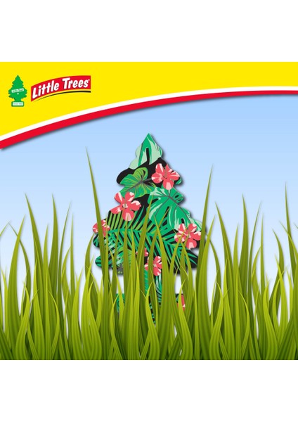 Asma Koku 6'lı Orman Ateşi fırsatları