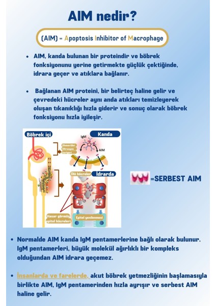 AIM30 Kedilerin Böbrek Sağlığının Korunmasına Katkıda Bulunan Toz Gıda Takviyesi modelleri