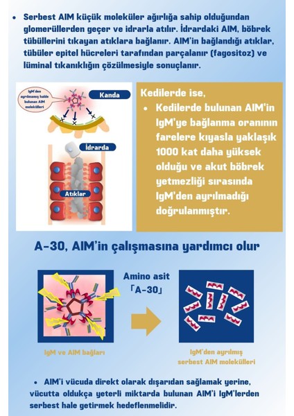 AIM30 Kedilerin Böbrek Sağlığının Korunmasına Katkıda Bulunan Toz Gıda Takviyesi