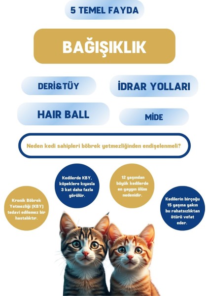 AIM30 Kedilerin Böbrek Sağlığının Korunmasına Katkıda Bulunan Toz Gıda Takviyesi