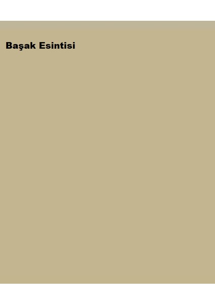 Silikonlu Özel Mat Başak Esintisi 2,5lt (3,5 kg)