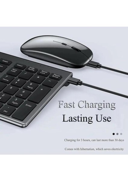 Hometech Alfa 11BT 10.9" Uyumlu Kablosuz Bluetooth Şarjlı Sessiz Klavye Mouse Seti