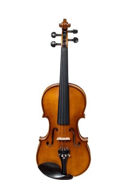 MA-155 15,5' Masif Viola