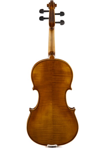 MA235 15,5' Masif Viola